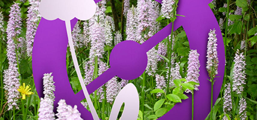 Avatar for Orchid Observers